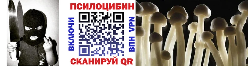 закладка  Гай  Псилоцибиновые грибы прущие грибы 