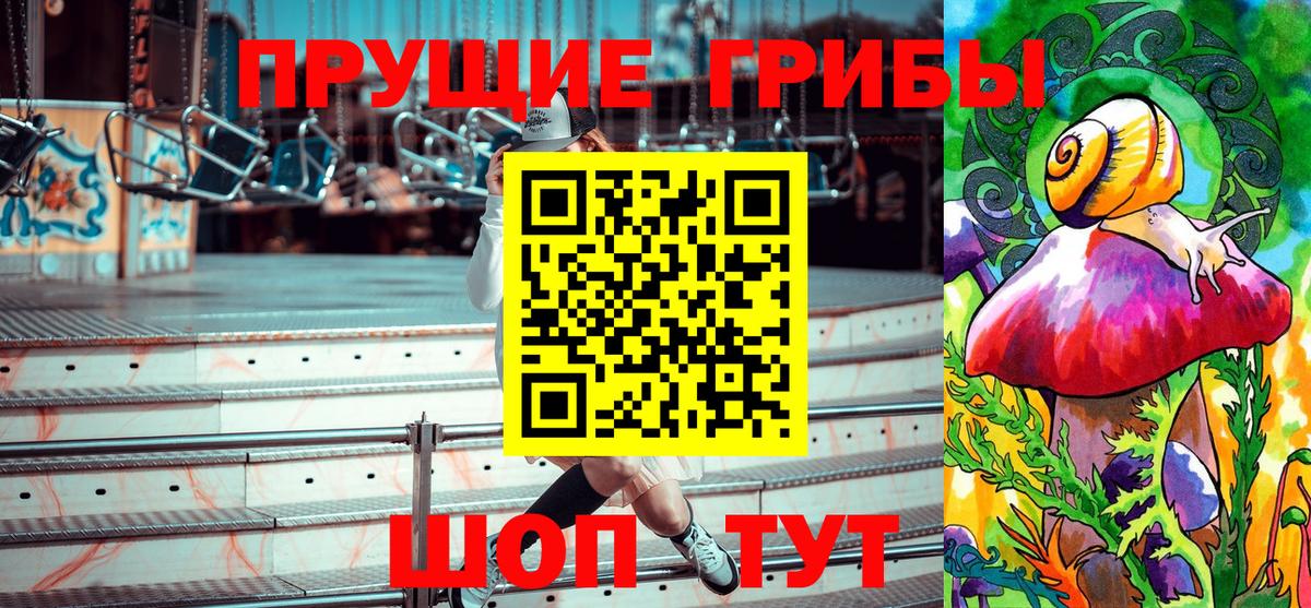 сколько стоит  Псилоцибиновые грибы GOLDEN TEACHER  Вход с VPN  Гай 