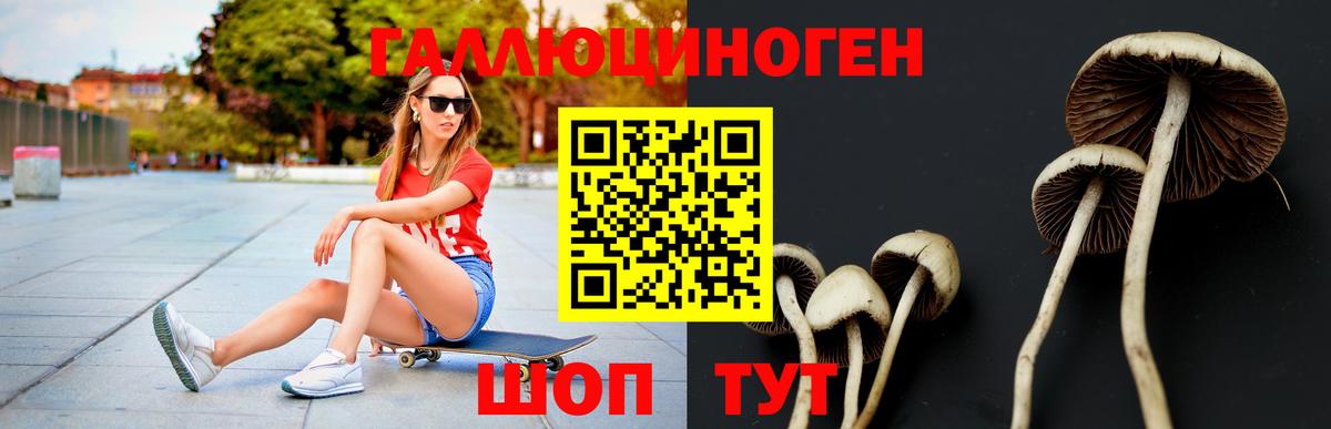 Галлюциногенные грибы прущие грибы Гай