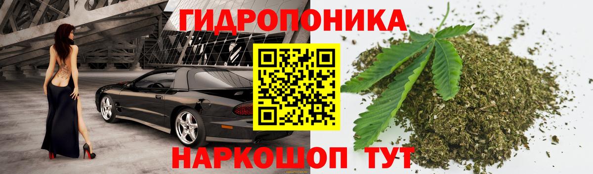 Бошки Шишки LSD WEED Гай